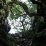 L'ingresso della grotta Albero di Sole